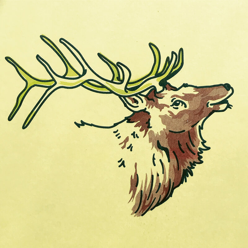 portrait of an elk in burgundy and lime green